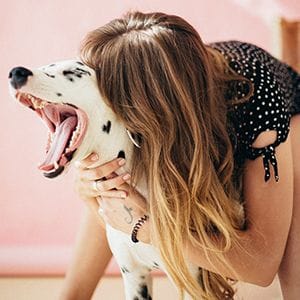 National Veterinary Care acquires two more clinics National Veterinary Care acquires two more clinics